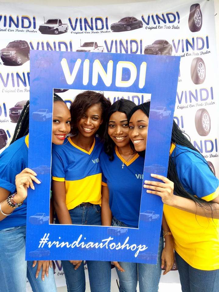Vindi Industries